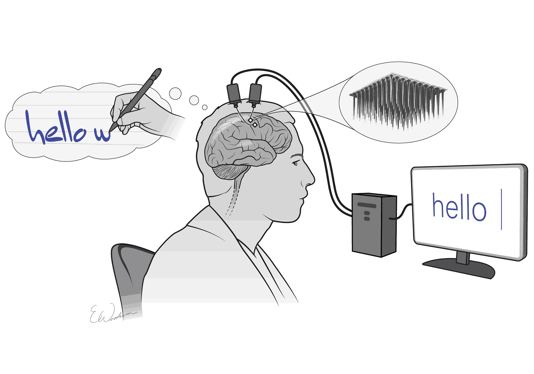 EEG Brain-Computer Interface