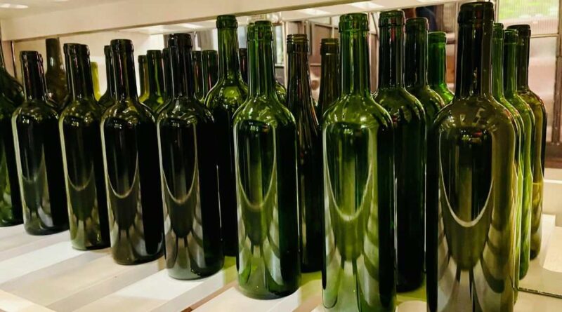 Efficiency in Modern Bottling & Canning Lines